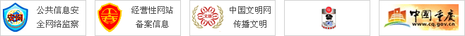 公共信息安全网络监察